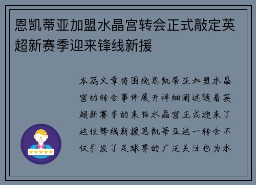 恩凯蒂亚加盟水晶宫转会正式敲定英超新赛季迎来锋线新援